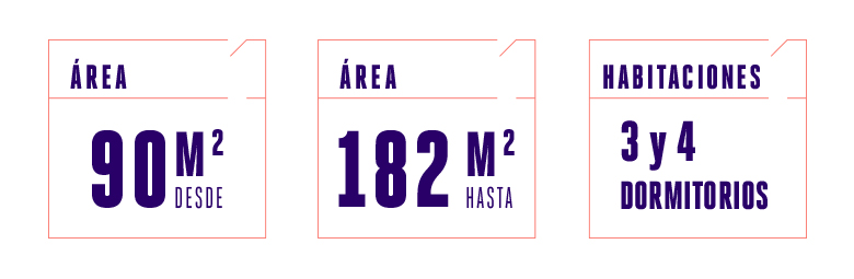 proyecto intense san borja detalles