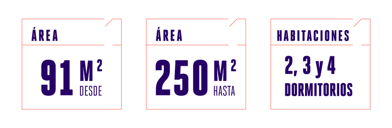 proyecto rebel san borja detalle